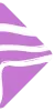 news-one-shape
